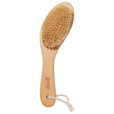 GOOP | G.Tox Ultimate Dry Brush