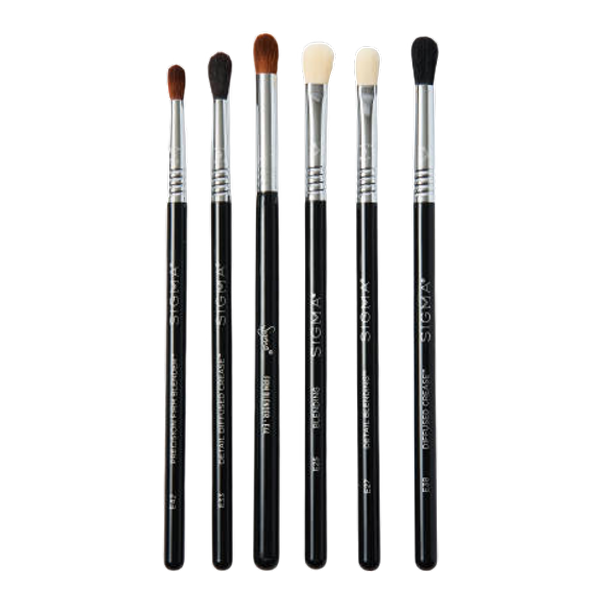 Ultimate Blending Brush Set